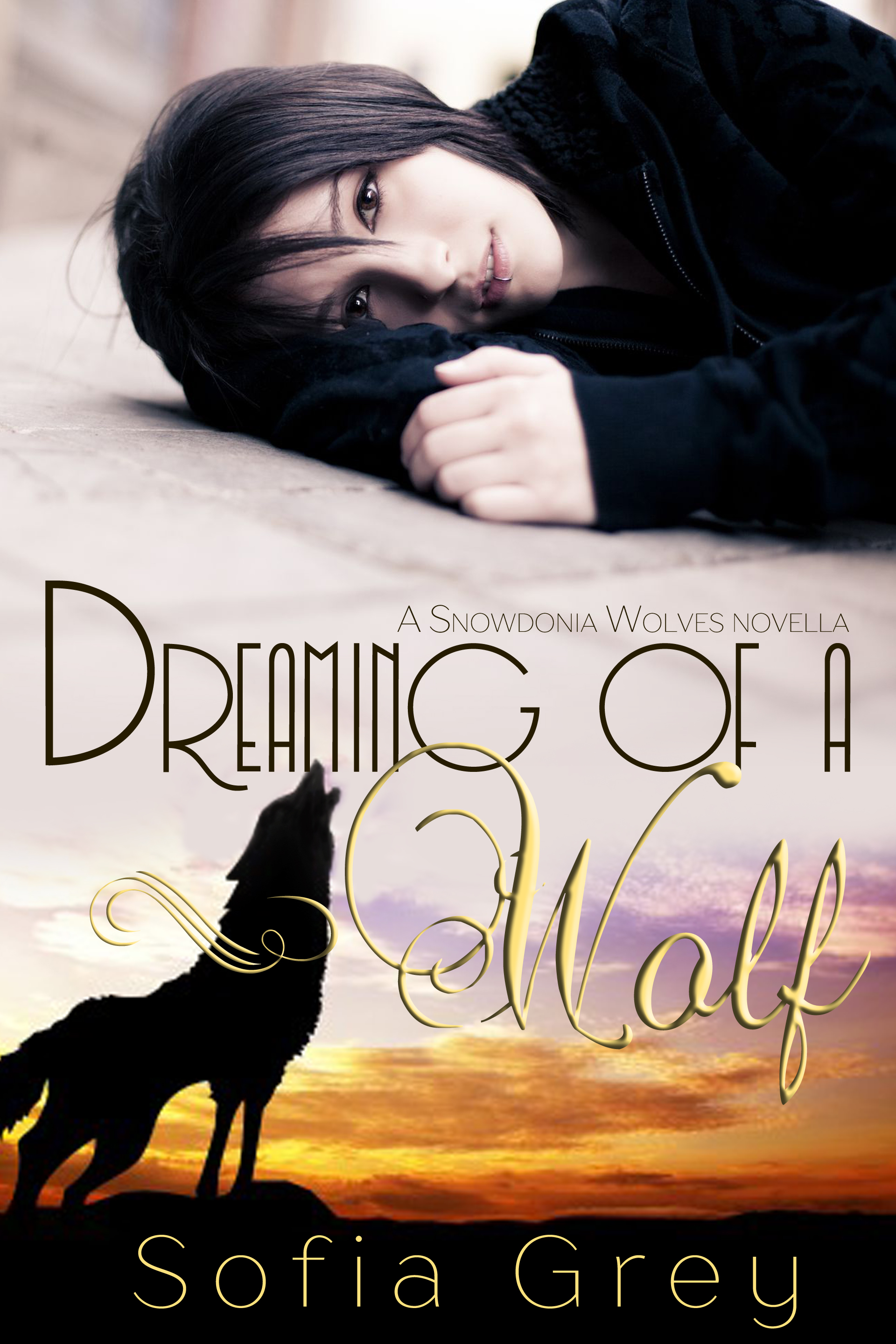 Dreaming of a wolf_01b (1)